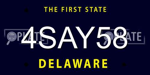 4SAY58 Delaware License Plate