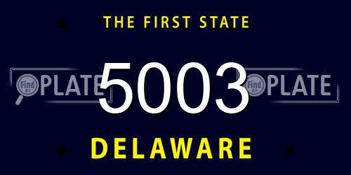 5003 Delaware License Plate