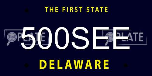 500SEE Delaware License Plate