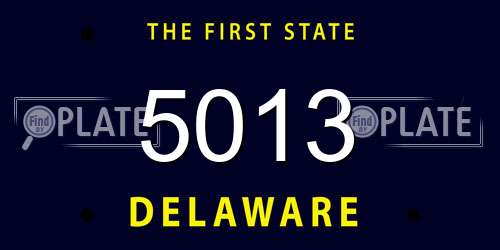 5013 Delaware License Plate