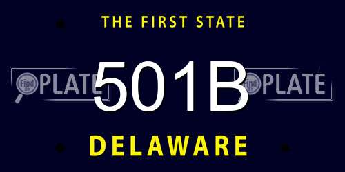 501B Delaware License Plate