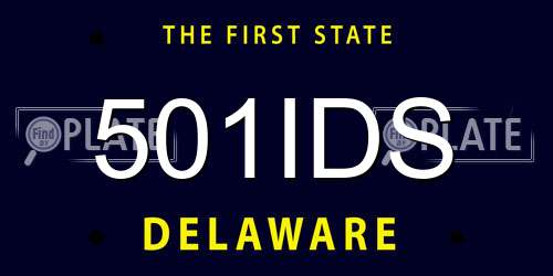 501IDS Delaware License Plate