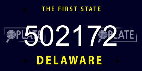 502172 Delaware License Plate