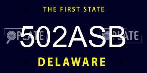 502ASB Delaware License Plate