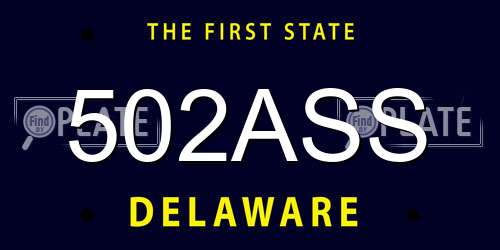 502ASS Delaware License Plate