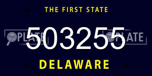 503255 Delaware License Plate
