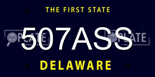 507ASS Delaware License Plate