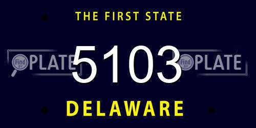 5103 Delaware License Plate