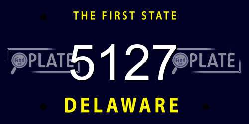 5127 Delaware License Plate