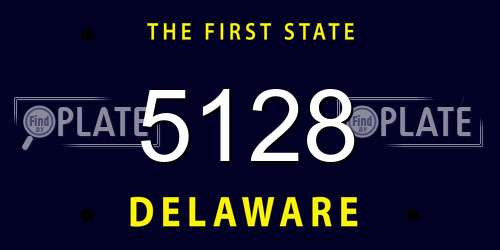 5128 Delaware License Plate