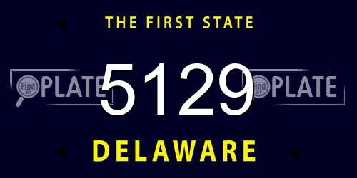 5129 Delaware License Plate