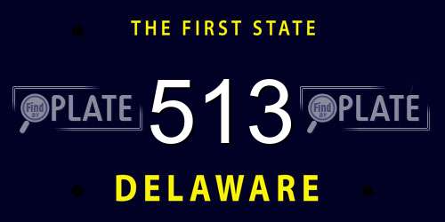 513 Delaware License Plate