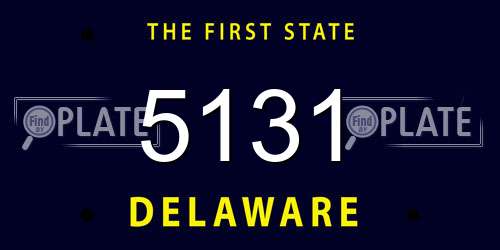 5131 Delaware License Plate