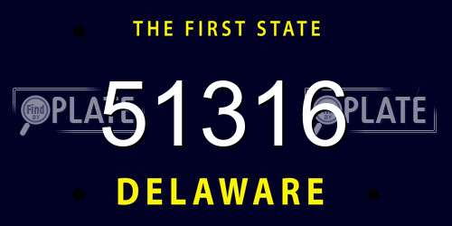 51316 Delaware License Plate