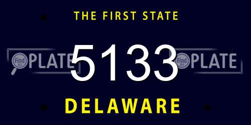 5133 Delaware License Plate