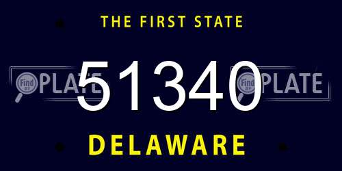 51340 Delaware License Plate