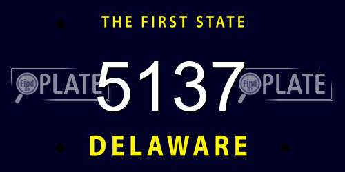 5137 Delaware License Plate