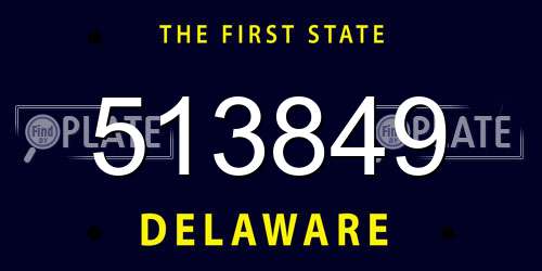 513849 Delaware License Plate