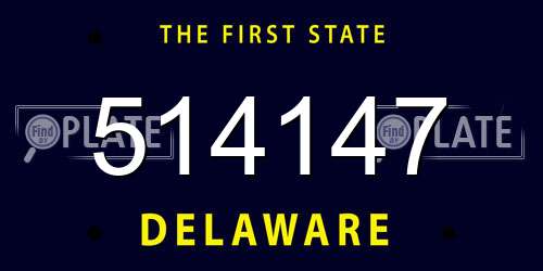 514147 Delaware License Plate