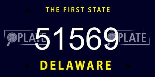 51569 Delaware License Plate