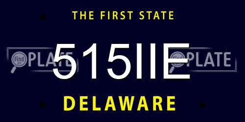 515IIE Delaware License Plate