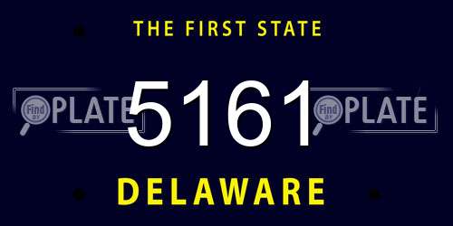 5161 Delaware License Plate