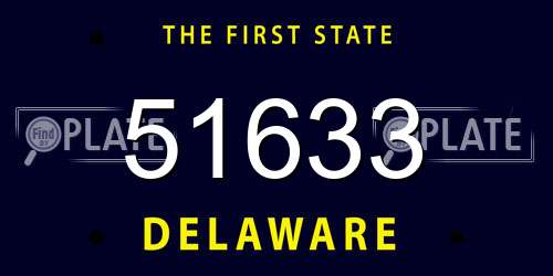 51633 Delaware License Plate
