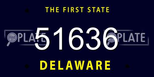 51636 Delaware License Plate