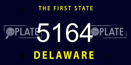 5164 Delaware License Plate