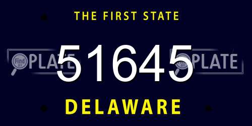 51645 Delaware License Plate