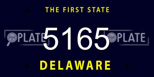 5165 Delaware License Plate
