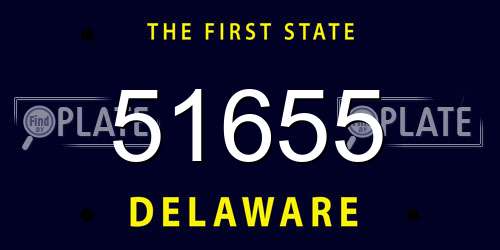 51655 Delaware License Plate