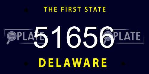 51656 Delaware License Plate
