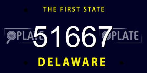 51667 Delaware License Plate