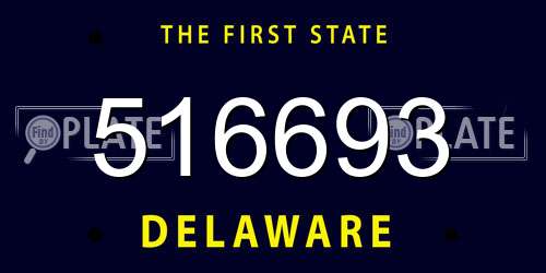 516693 Delaware License Plate