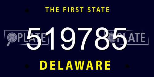 519785 Delaware License Plate