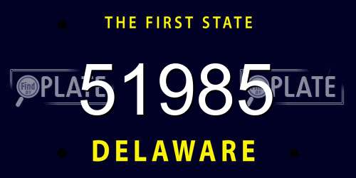 51985 Delaware License Plate