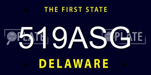 519ASG Delaware License Plate