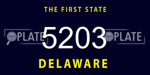 5203 Delaware License Plate