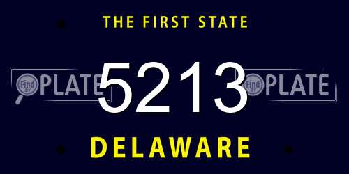 5213 Delaware License Plate