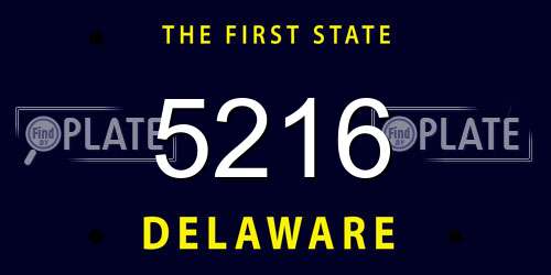 5216 Delaware License Plate