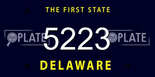 5223 Delaware License Plate