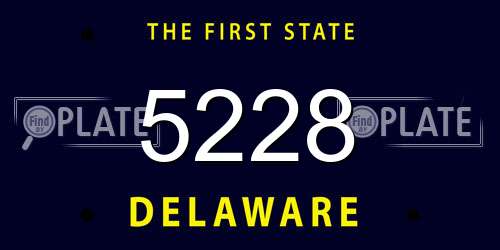 5228 Delaware License Plate