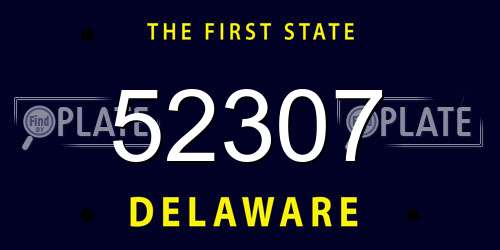 52307 Delaware License Plate