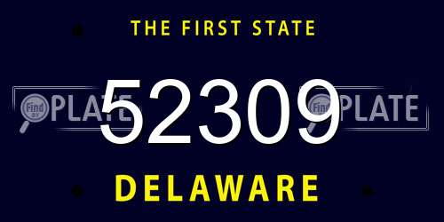 52309 Delaware License Plate