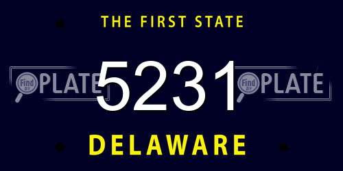 5231 Delaware License Plate