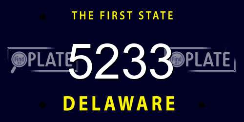 5233 Delaware License Plate