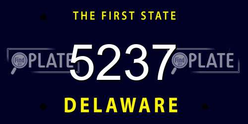 5237 Delaware License Plate