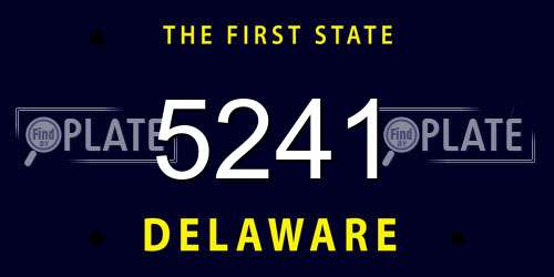 5241 Delaware License Plate
