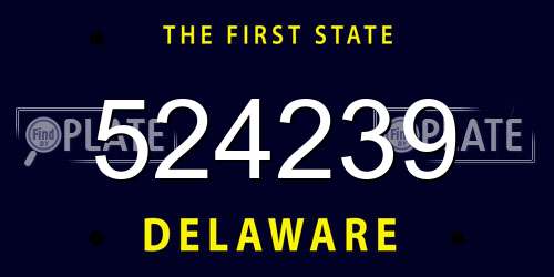 524239 Delaware License Plate